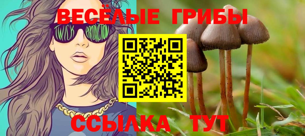 Псилоцибиновые грибы Magic Shrooms Энгельс